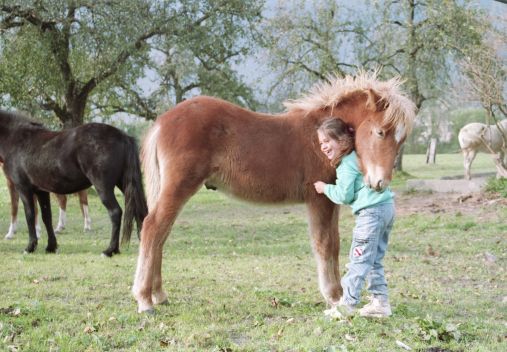 Pferd mit Kind